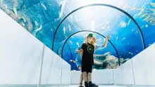 Aquarium du Québec - Photo © Jeff Frenette, Office du tourisme de Québec